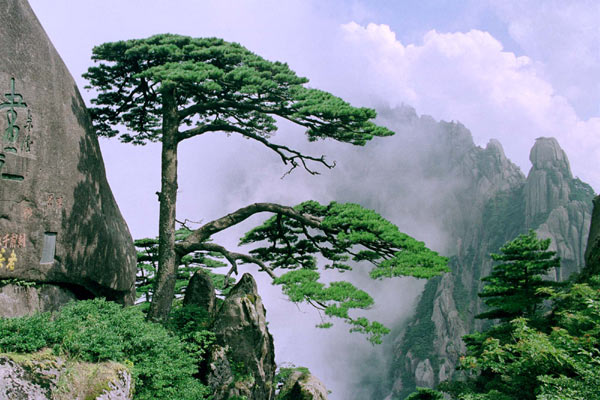 玩转黄山必须掌握的小常识